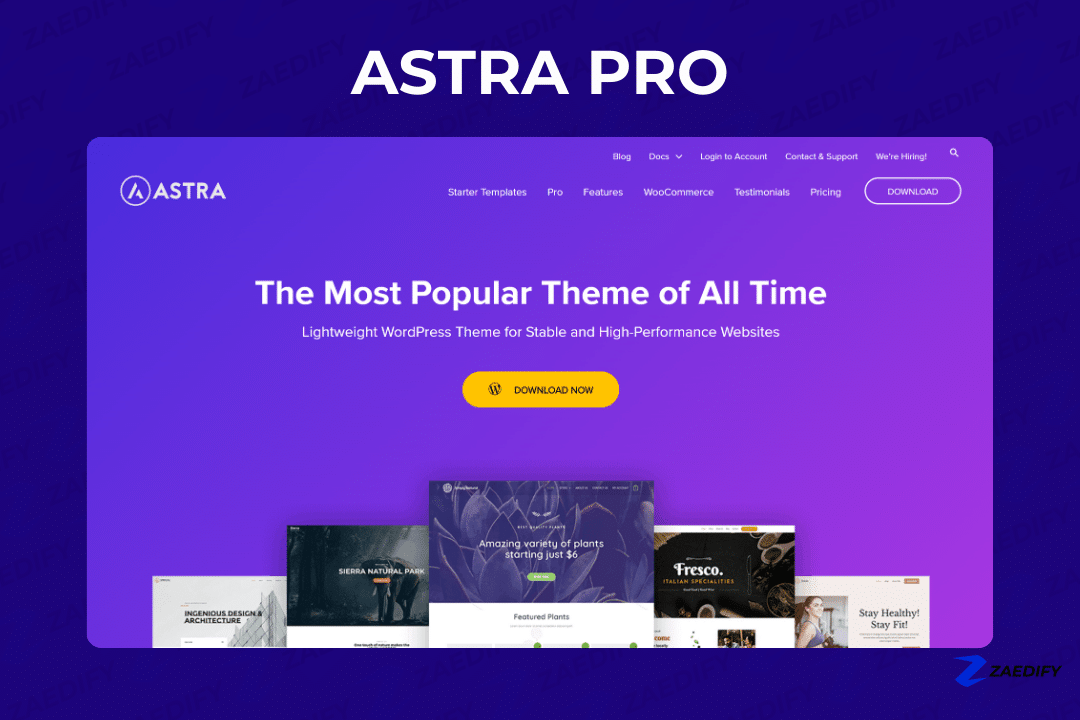 Astra Pro Lifetime